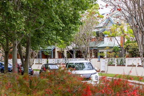 Request a verge tree by 30 April 