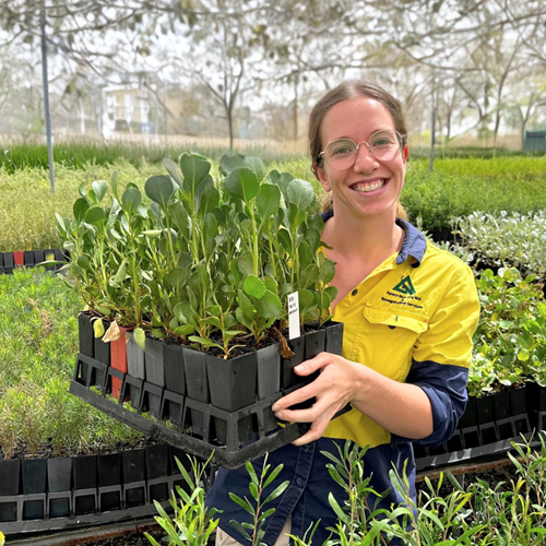 Beautify your garden through the Native Plant Sale