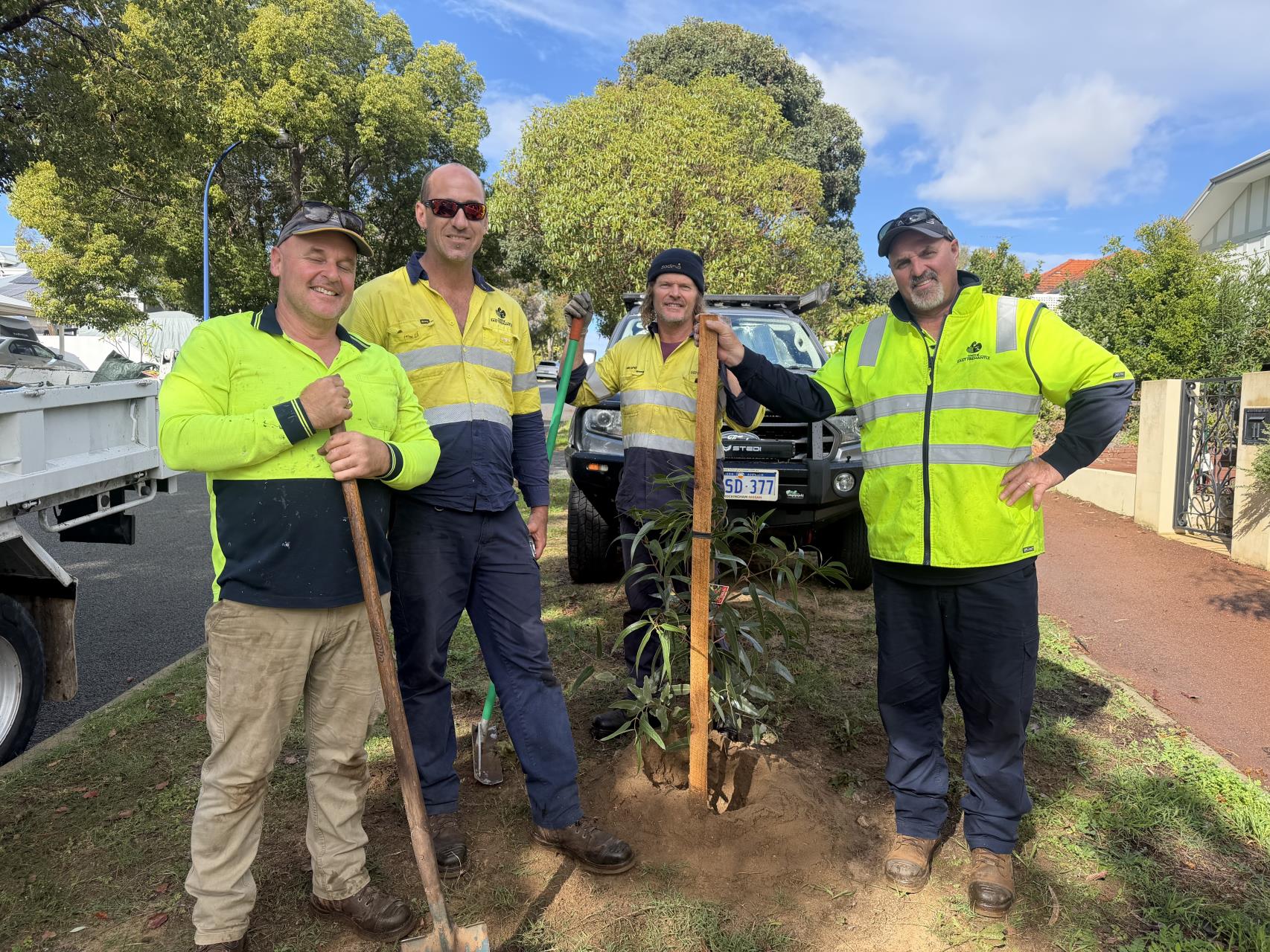 Operations team grows urban canopy with new trees