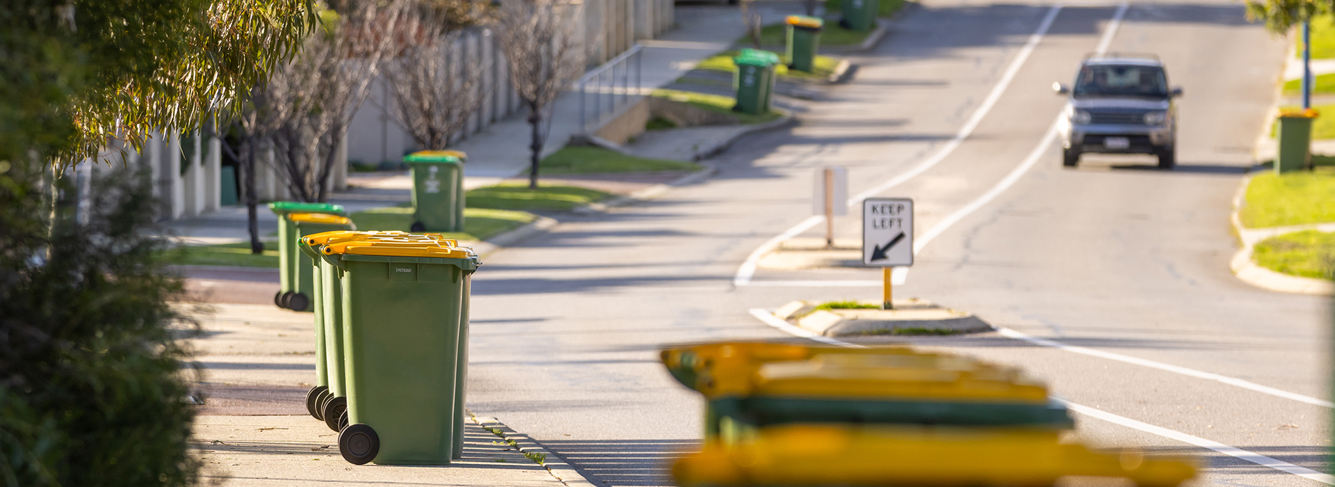 Picture: Missed your bin collection?