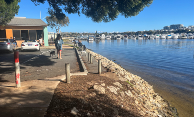 Have Your Say! Norm McKenzie Foreshore Revitalisation