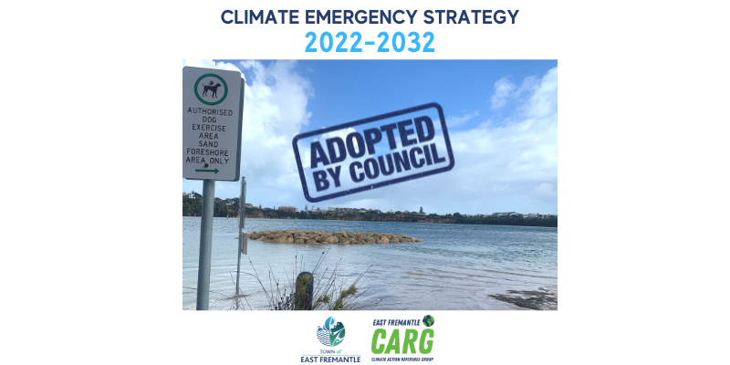 Climate Emergency Strategy 2022-2032 - Adopted by Council